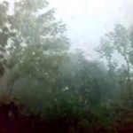 Гроза: сильный дождь и ветер (видео)